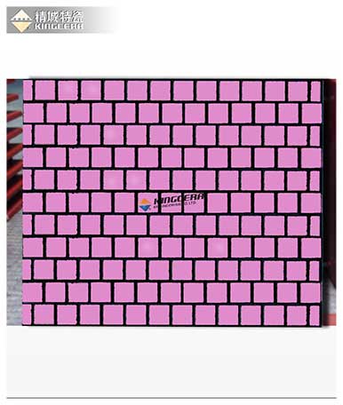 尊龙体育(中国区)官方网站