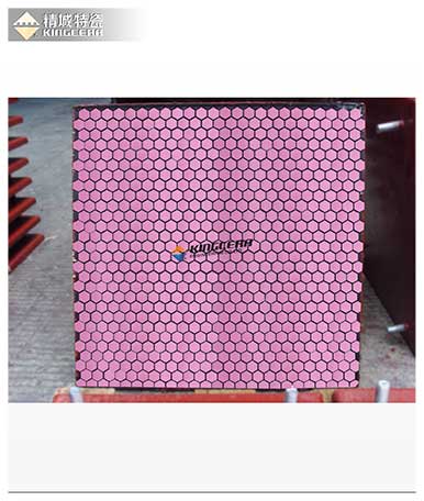 尊龙体育(中国区)官方网站