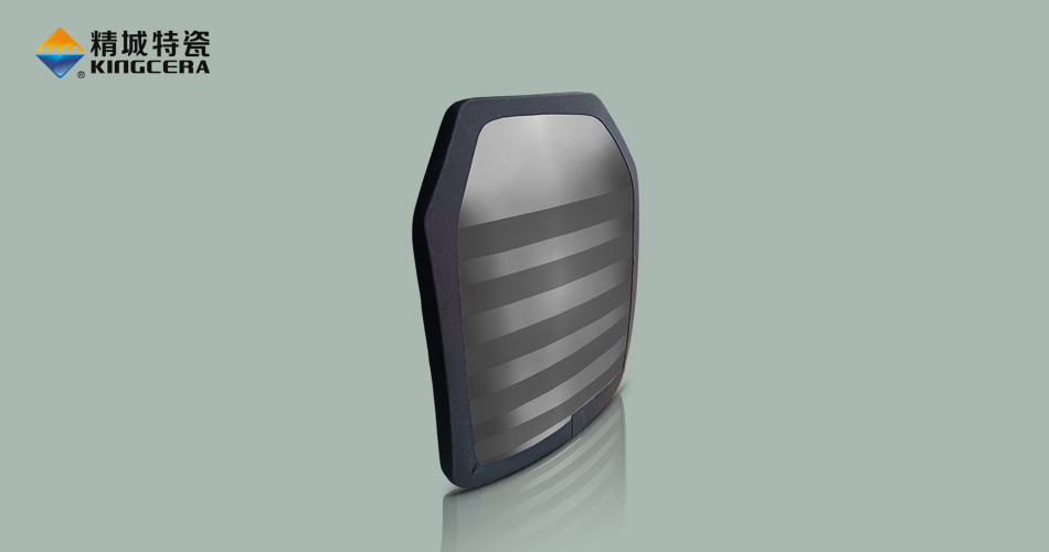 尊龙体育(中国区)官方网站