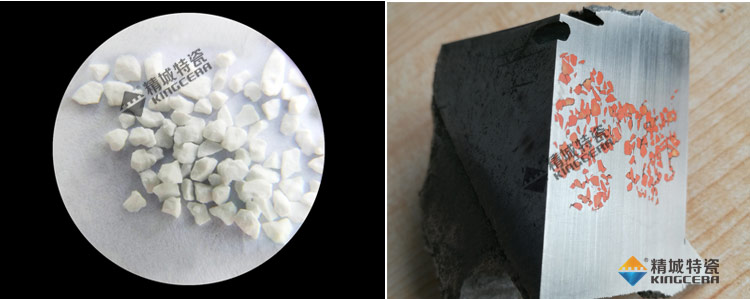 尊龙体育(中国区)官方网站