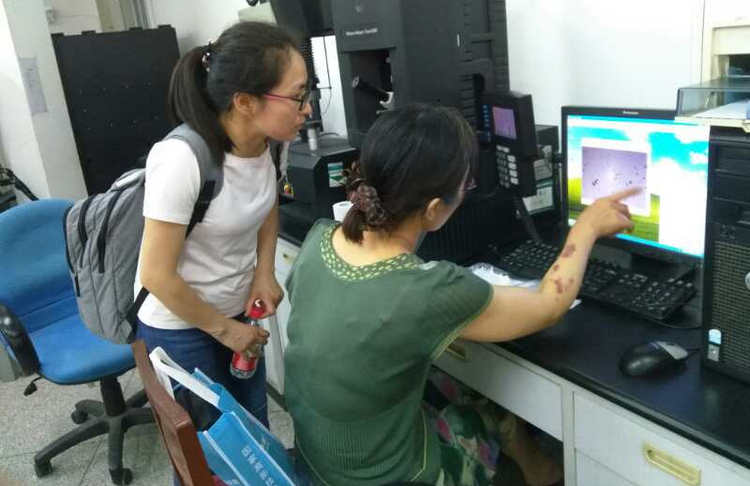 尊龙体育(中国区)官方网站